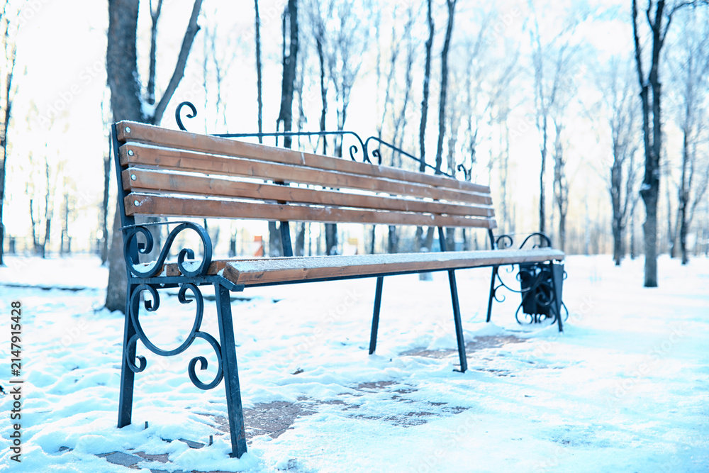 Obraz premium park bench on a winter alley at snowfall. bench with snow after snowstorm or in snow calamity in europe