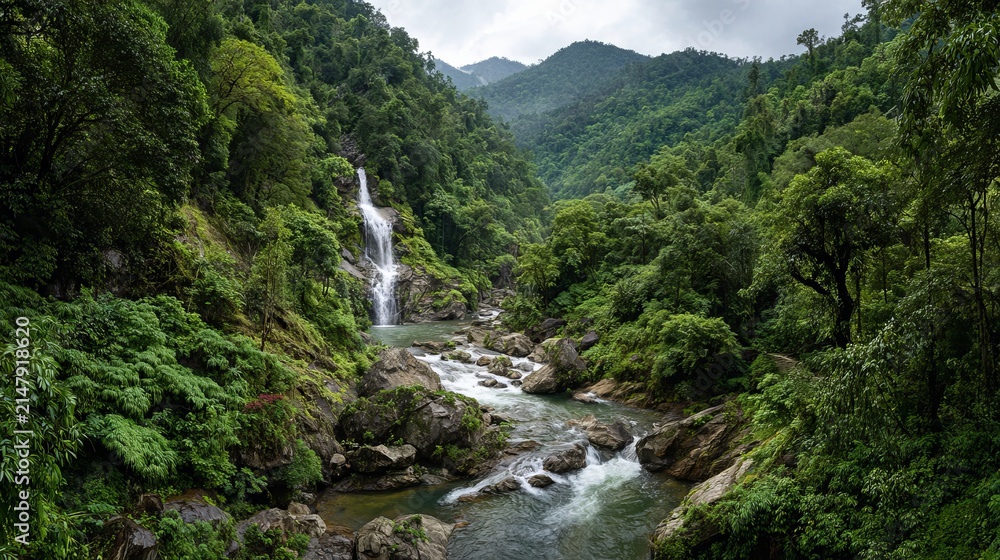 Fototapeta premium Lush rainforest valley showcases a cascading waterfall, framed by dense foliage and rugged, shadowed terrain