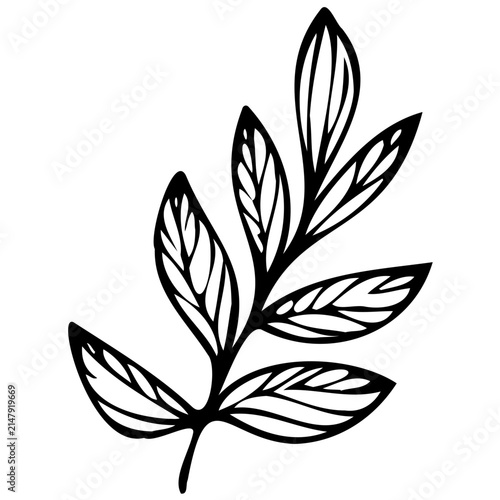 Hand drawn leaf line art illustration. Minimalist botanical sketch for organic design.