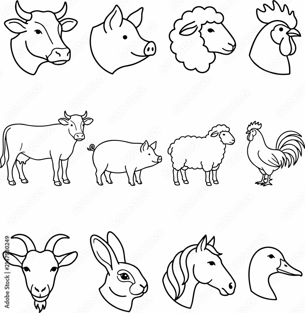 Obraz premium Set of hand drawn farm animal icons on white background