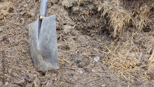 Foto Shovel stuck in a pile of manure to fertilize the soil in the garden, selective focus