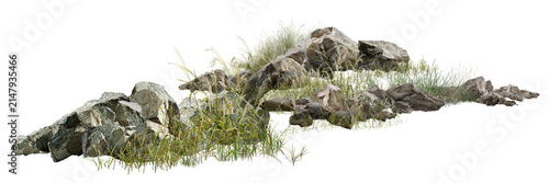 wild boar isolated on white/Ultra-sharp high-resolution rocky landscape with natural grass, isolated on a white background. Perfect for nature, geology, landscape, and environmental design projects.