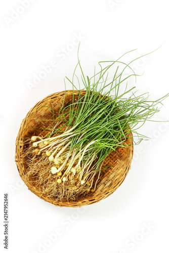 Canvastavla Fresh Wild Onions with Rootlets in Bamboo Basket - Organic Farm Vegetables