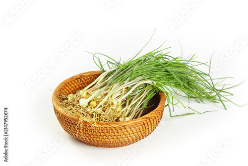 Quadro su tela Fresh Wild Green Onions with Roots in Wicker Basket - Organic Vegetables on Whit
