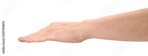 Obraz na płótnie Male hand in flat straight position, isolated on transparent cutout background