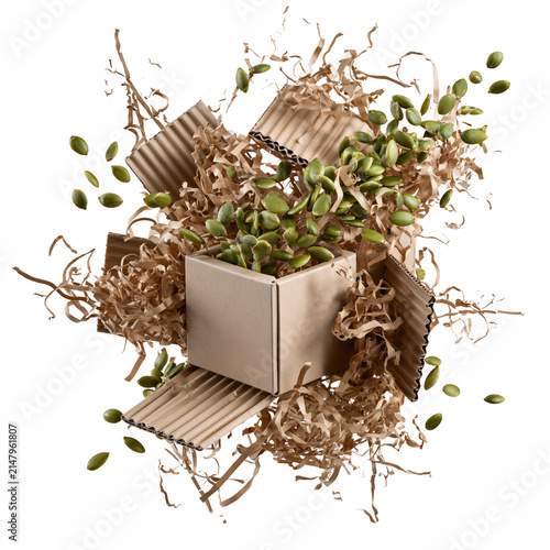 Cardboard box with green pumpkin seeds and shredded paper packaging material floating in air, eco friendly concept with natural texture and organic elements isolated on transparent background