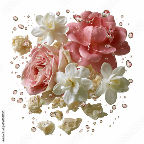 Pink rose white flower water drop floral arrangement fresh petals delicate bloom natural beauty garden flower romantic flower soft colors floating floral isolated on transparent background