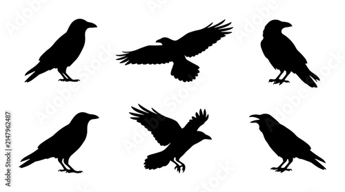 Black Bird Silhouettes: Crows, Ravens, and Eagles in Flight and Perched, Vector Icons