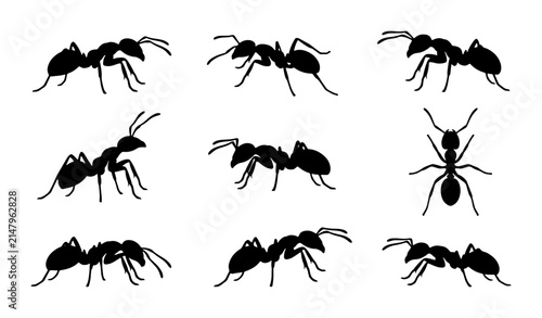 Black Ant Silhouettes Vector Set, Insect Icon Collection, Small Bug Graphics for Nature and Science