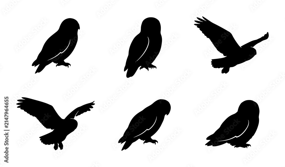 Obraz premium Owl Silhouettes, Nocturnal Bird Poses, Vector Graphics for Wildlife and Nature Designs