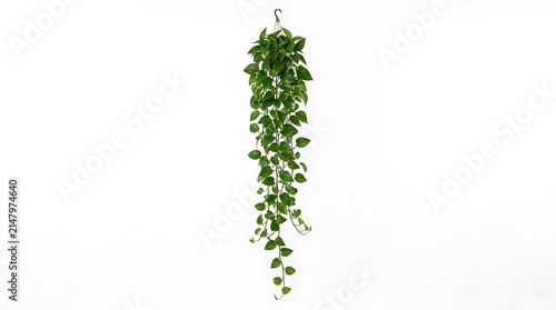 Artificial Hanging Pothos Vine Plant for Interior Decoration.