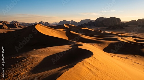 Black and Gold Desert Dune Landscape