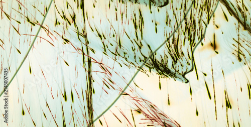 Artistic 2D Element Creating Aquatic Fabric Harmony