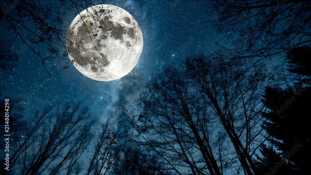 Fototapeta premium Full moon in the night sky. Bright lunar orb glowing above dark silhouettes of forest trees.