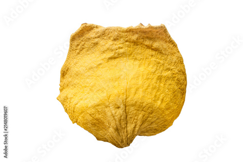 Rose dry petal isolated