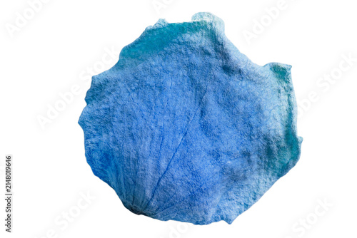 Blue petal isolated