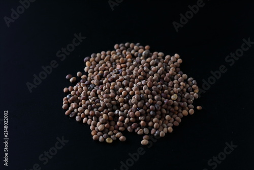 Canvas Print cuscuta chinensis - Chinese dodder - tusizi