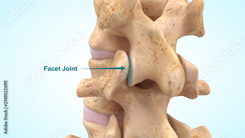 Facet joints of 3d illustration