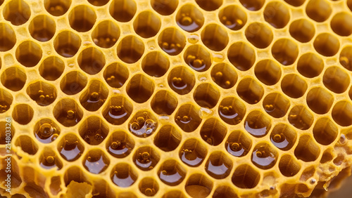 Golden honeycomb filled with fresh organic nectar displays hexagonal wax patterns in vibrant warm yellow tones