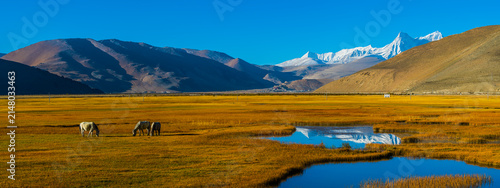 Foto Ama Drime Peak in the Himalayas, Tibet Autonomous Region, China