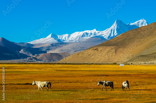 Obraz na płótnie Ama Drime Peak in the Himalayas, Tibet Autonomous Region, China