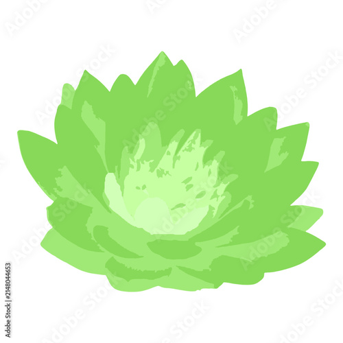 Abstract Green Lotus Flower Illustration
