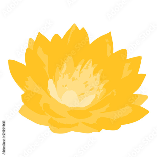 Stylized Yellow Lotus Flower Graphic