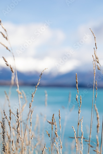 Dry grass in selective focus with blurred mountain lake background