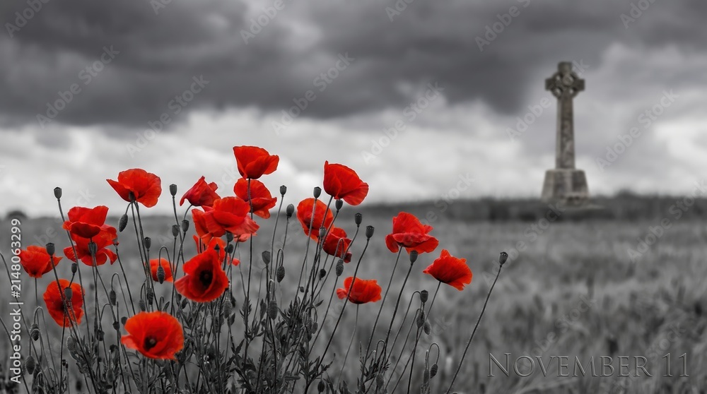 Obraz premium red poppies blooming in a monochrome field with blurred celtic cross, dark stormy sky and november 11 text