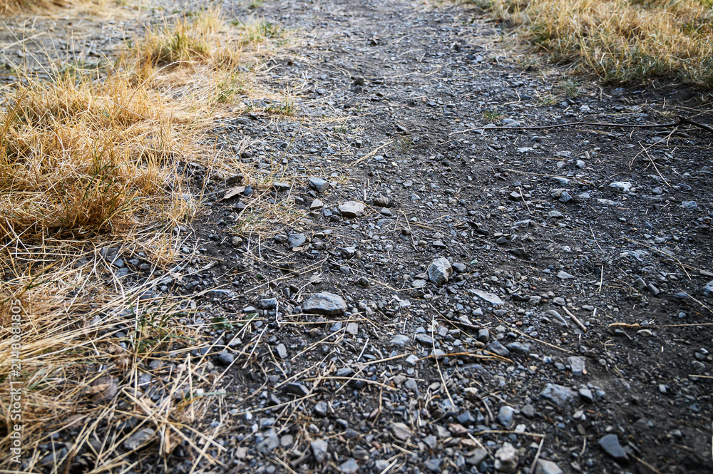Fototapeta premium Rough gravel path with small stones, dry grass and natural ground texture
