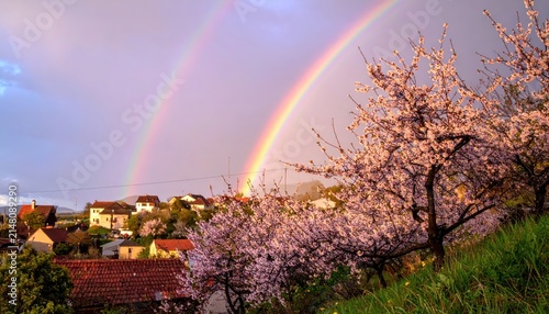 Double rainbow arcs over a picturesque village with blooming cherry blossom trees at sunset