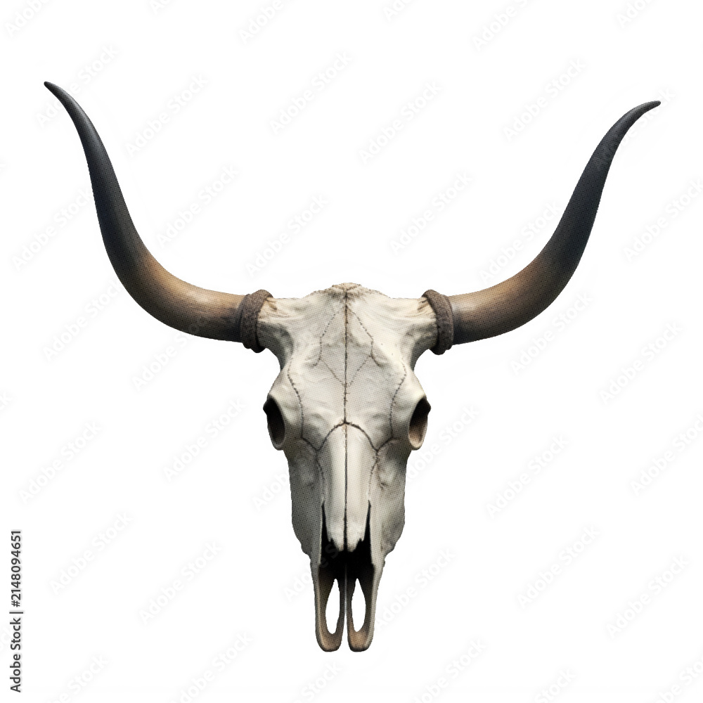 Fototapeta premium Cow Skull With Halftone Effect Against Black Background