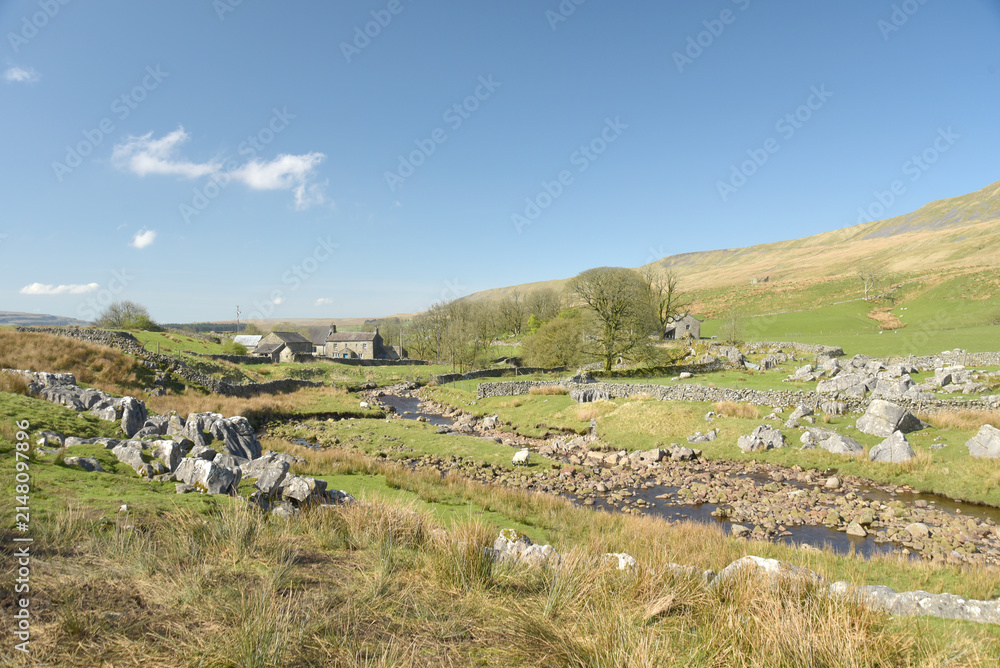 Fototapeta premium Scenery in Ribblesdale near Winterscale Beck in the Yorkshire Dales National Park