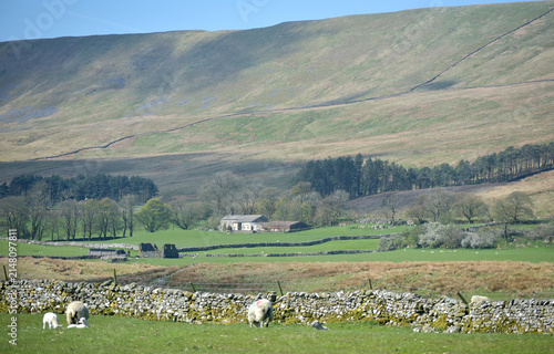 Foto Scenery in Ribblesdale near Winterscale Beck in the Yorkshire Dales National Par
