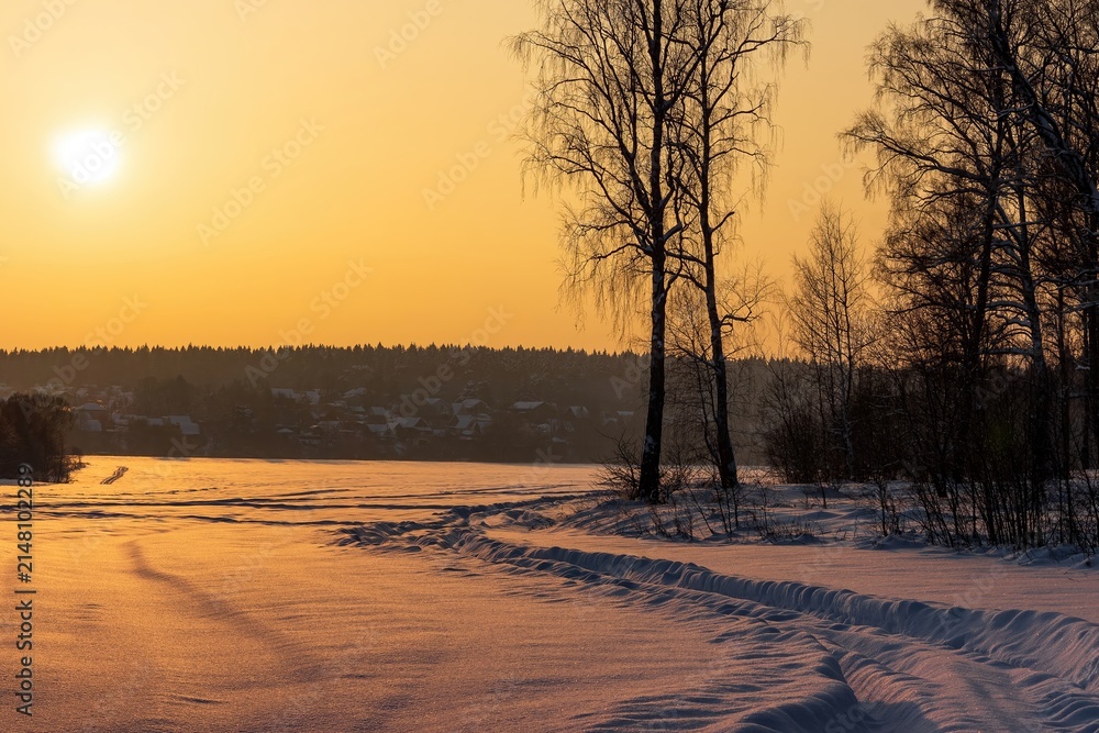 Fototapeta premium A serene winter landscape, sun-kissed snow track winding through a frozen field, bare birch trees silhouetted against the golden evening sky