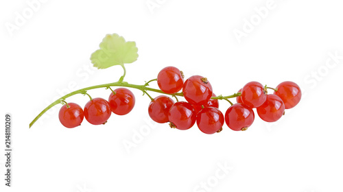 Bright red currants on a thin green stem with a single leaf, isolated on transparent background