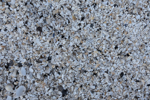 Foto Crushed seashells creating a textured background on a natural coastal beach