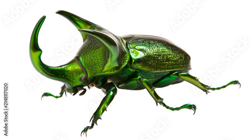 Foto Metallic green scarab beetle with large horns, isolated on transparent backgroun