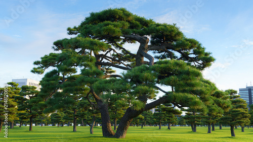 Tokyo, Japan - Oct 01 2024,...