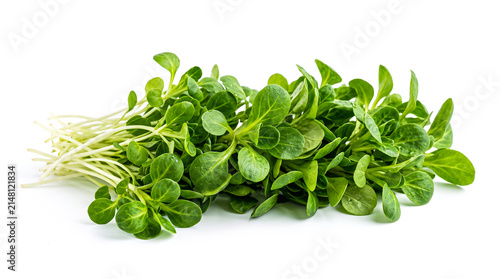 Fresh mache salad leaves isolated on white background