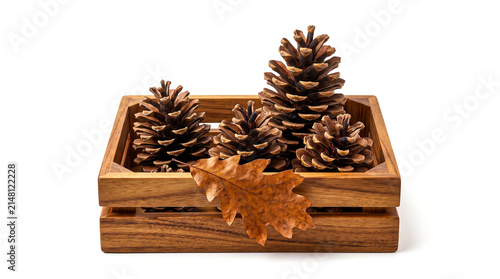 Pine cones in a wooden crate with an oak leaf isolated on white background