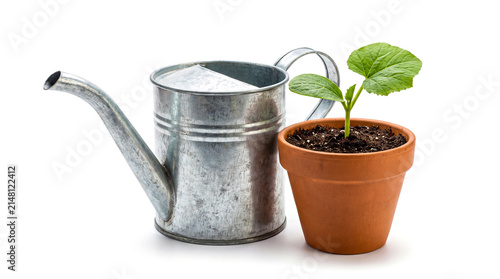 Small green plant in a terracotta pot next to a metal watering can isolated on white background