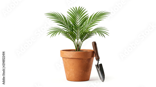 Small palm plant in a terracotta pot with a gardening trowel isolated on white background