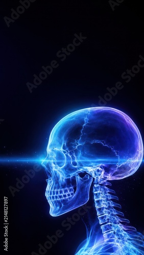 Neon style X-ray of human skull and cervical spine with copy space for text