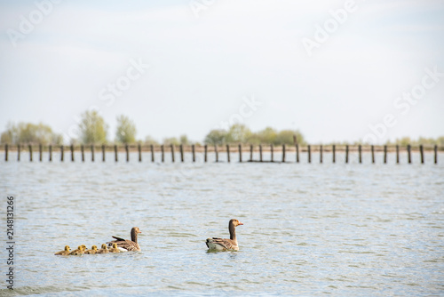 The Marker Wadden nature reserve in Lake Marker in the Netherlands, Flevo province. Artificial archipelago.