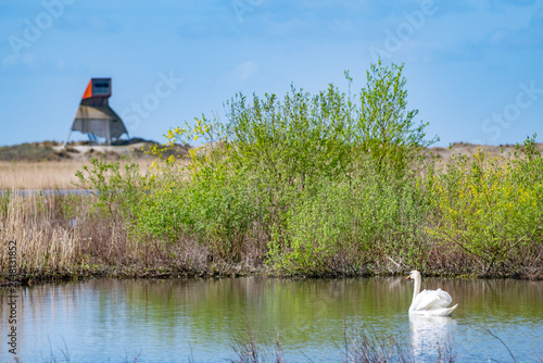 The Marker Wadden nature reserve in Lake Marker in the Netherlands, Flevo province. Artificial archipelago, Birdwatching tower.