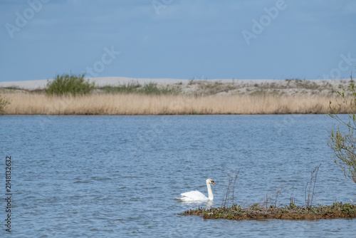 The Marker Wadden nature reserve in Lake Marker in the Netherlands, Flevo province. Artificial archipelago