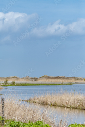 The Marker Wadden nature reserve in Lake Marker in the Netherlands, Flevo province. Artificial archipelago