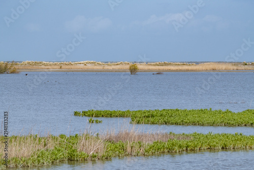 The Marker Wadden nature reserve in Lake Marker in the Netherlands, Flevo province. Artificial archipelago