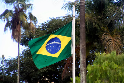 Brazilian National Flag Waving Over Green Trees and Natural Foliage Background